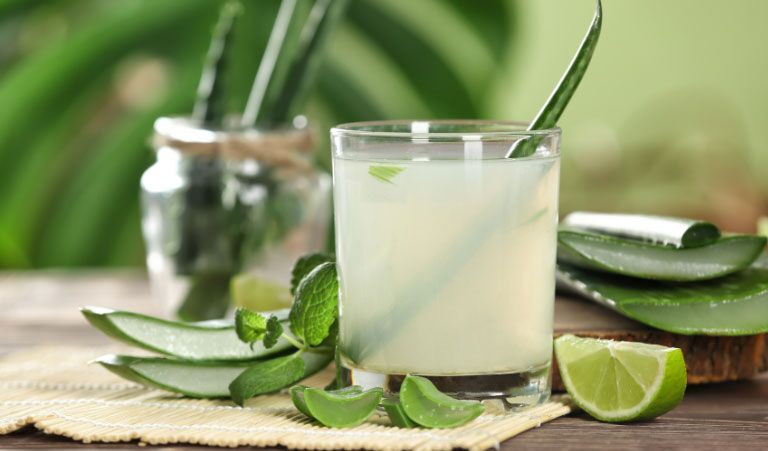 Tout savoir sur l'Aloe Vera | Destination cocktails